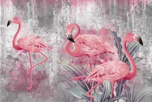 368x248_flamingi.jpg