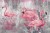 368x248_flamingi.jpg