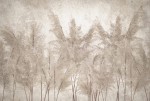 Fototapeta BEIGE wz2 - NA WYMIAR