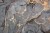 wytwory_marble_wzor_grey.jpg