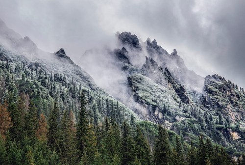 wytwory_tatry_we_mgle_wzor.jpg