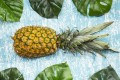 wytwory_ananas_obraz_wzor.jpg