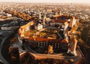 wytwory_krakow_zamekwawelski_wzor.jpg
