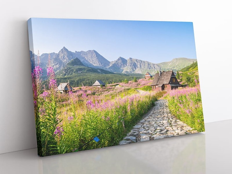 OBRAZ NA PŁÓTNIE Tatry, Hala Gąsienicowa wz1