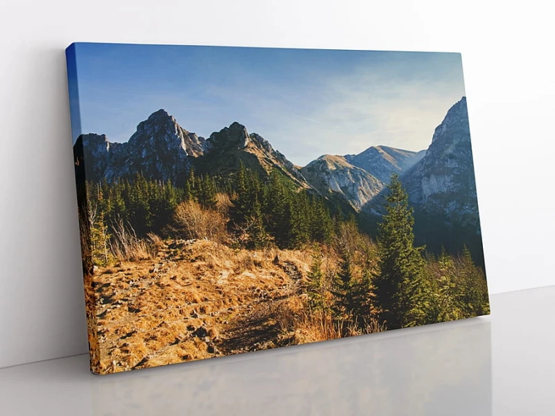 OBRAZ NA PŁÓTNIE Tatry, Szlaki Tatrzańskie wz4