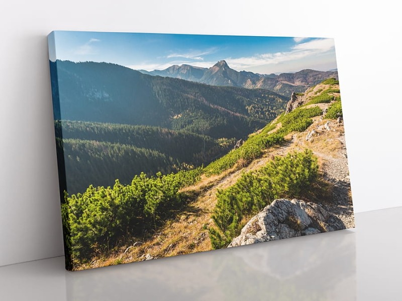 OBRAZ NA PŁÓTNIE Tatry, Szlaki Tatrzańskie wz5