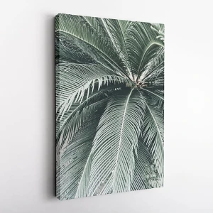 01a_obraz.jpg