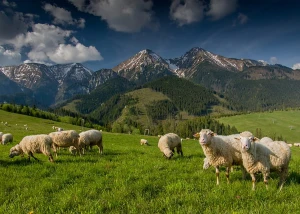 wytwory_góry54.jpg