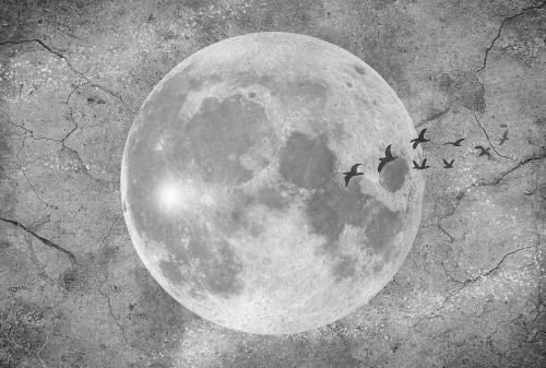 wytwory_moon_wzor2.jpg