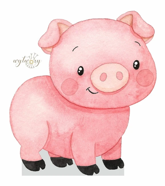 farma_swinka_80cm.jpg