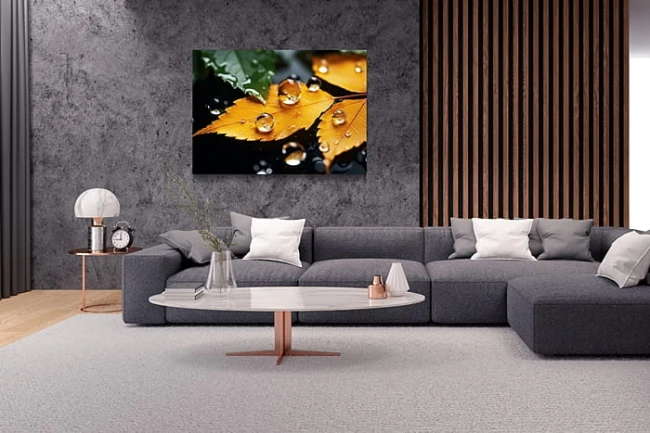 wytwory_makrolisc12_wiz.jpg
