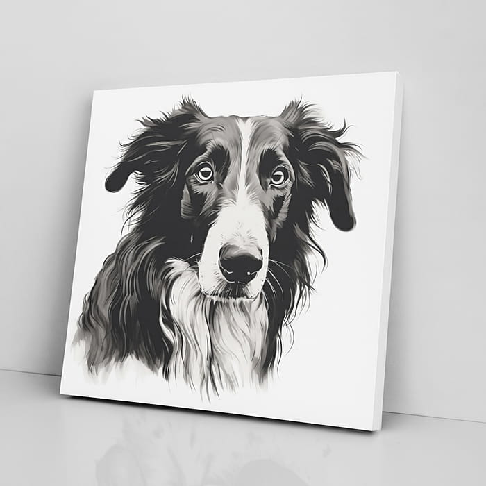 OBRAZ NA PŁÓTNIE portret psa, border collie wz2