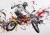 wytwory_extremesport17.jpg