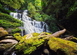 wytwory_natura21.jpg