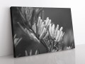 wytwory_czarnobiale21_obraz.jpg