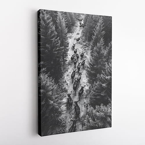 wytwory_czarnobiale32_obraz.jpg
