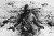 wytwory_tapetagry16.jpg
