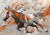 wytwory_kunie9.jpg