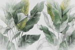 Fototapeta VERDE wz2 - NA WYMIAR 
