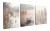 111_obraz.jpg