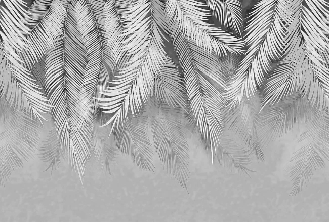 palmyliscie_wz2_gray.jpg