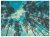 wytwory_puzzle_natura1zzz_cale.png