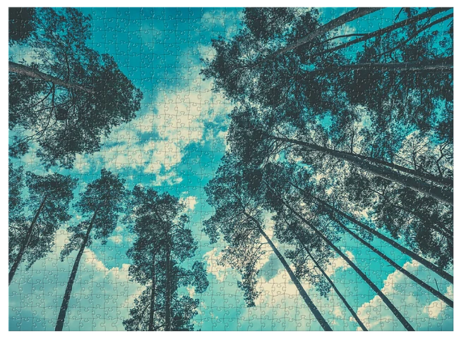 wytwory_puzzle_natura1zzz_cale.png