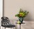10376-02_room02_fashionforwalls4.jpg