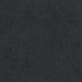 10418-15_scan_playoflight.jpg
