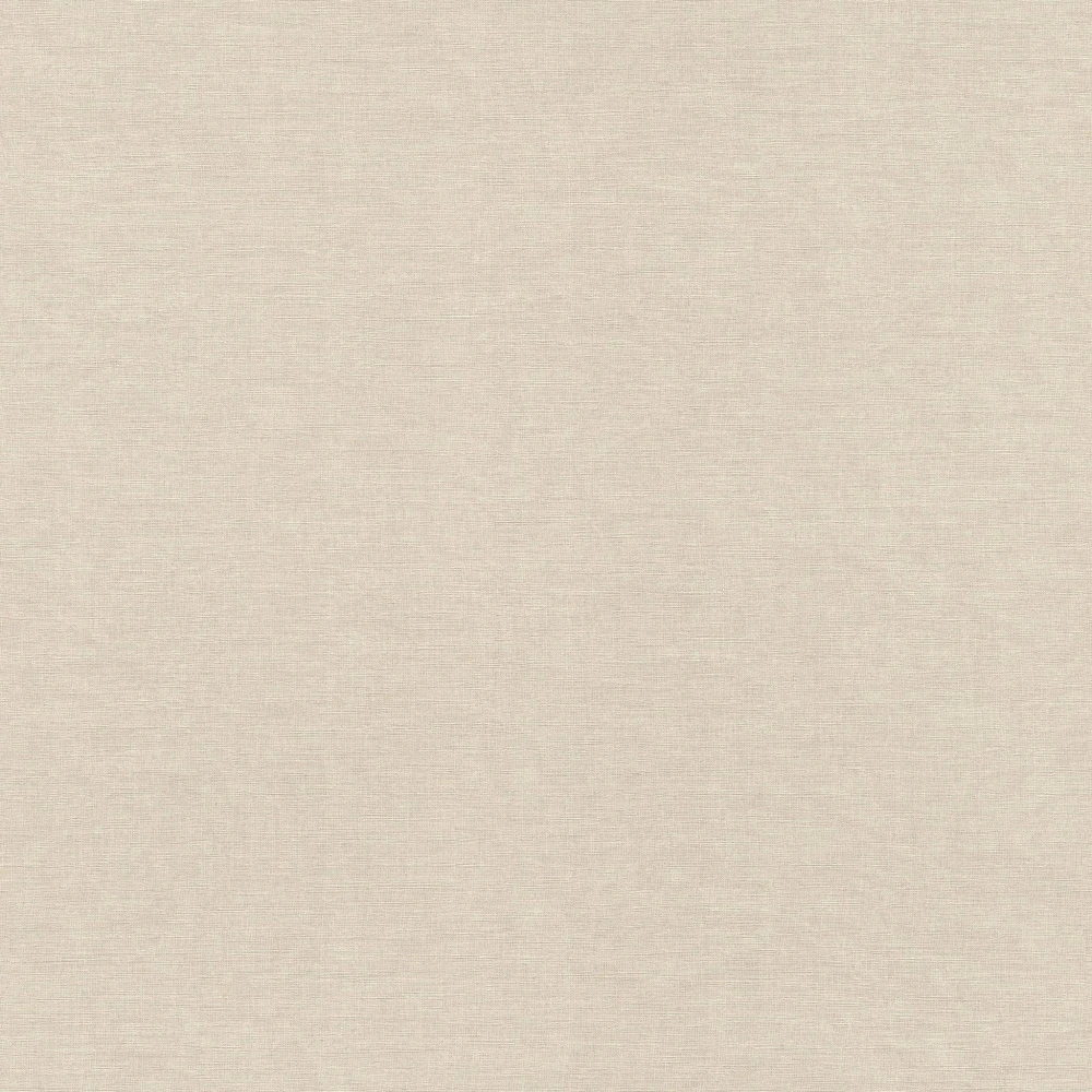 RA 464016 t.jpg