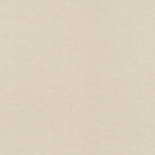 RA 464016 t.jpg
