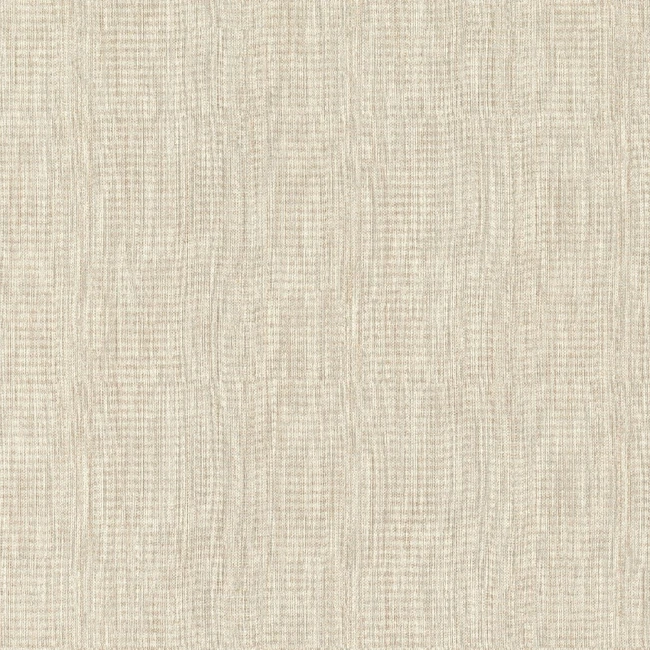 980004 t.jpg