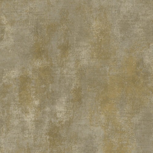 A67903.jpg