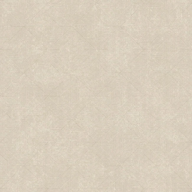 a68203.jpg