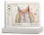 wytwory_puzzle_dzieci3a_pudelko_500.png