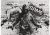 wytwory_puzzle_gaming1u_cale.png