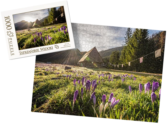 wytwory_puzzle_tatrz2h.png