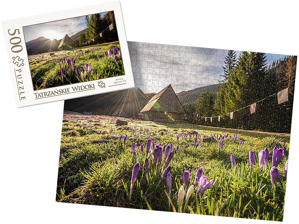 wytwory_puzzle_tatrz2h_500.png