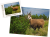 wytwory_puzzle_tatrz2k.png