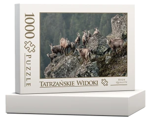 wytwory_puzzle_tatrz2n_pudelko.png
