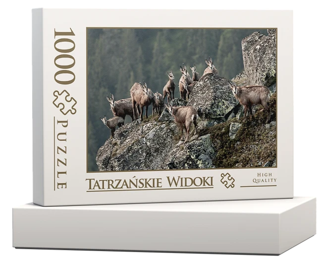wytwory_puzzle_tatrz2n_pudelko.png