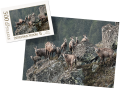 wytwory_puzzle_tatrz2n_500.png