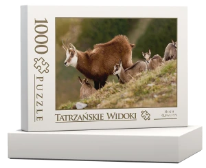 wytwory_puzzle_tatrz2o_pudelko.png