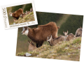 wytwory_puzzle_tatrz2o_500.png