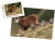 wytwory_puzzle_tatrz2o_500.png
