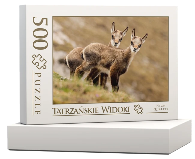 wytwory_puzzle_tatrz2j_pudelko_500.png