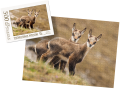 wytwory_puzzle_tatrz2j_500.png
