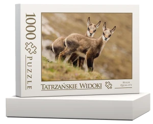 wytwory_puzzle_tatrz2j_pudelko.png