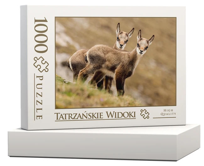 wytwory_puzzle_tatrz2j_pudelko.png