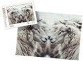 wytwory_puzzle_tatrz2x.png